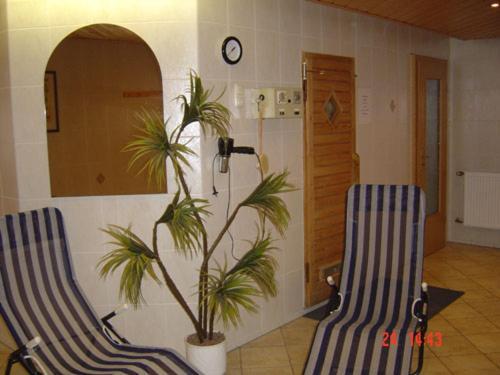 Gaststaette & Pension Alte Muehle Dorfchemnitz ภายนอก รูปภาพ